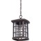 Quoizel Stonington Outdoor Hanging Lantern SNN1909PN - alternate 2
